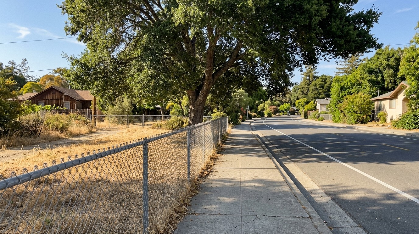Quiet residential sidewalk in a small California town with chain-link fence and shade tree