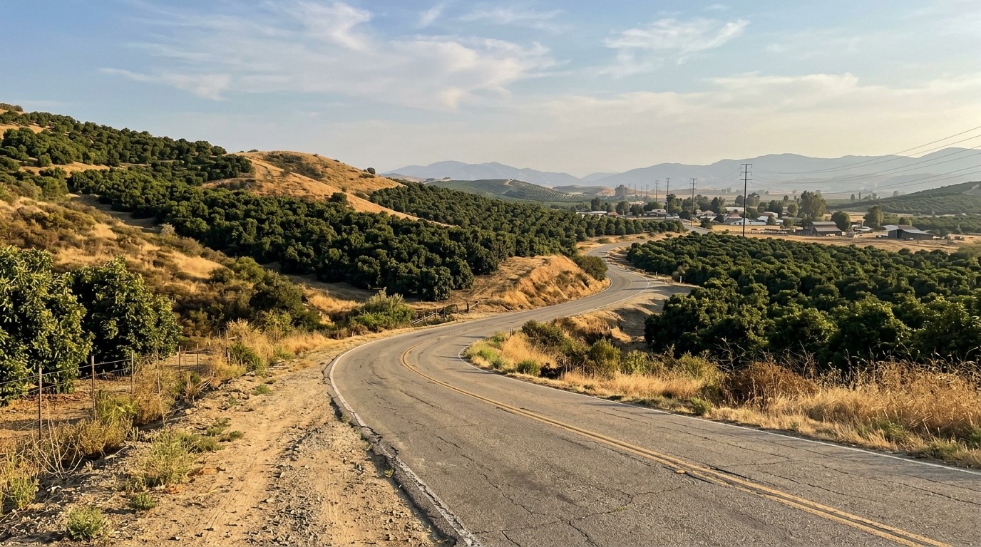 Two-lane road through Fallbrook avocado groves, Southern California