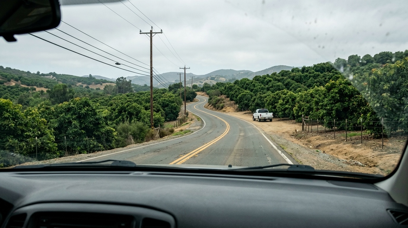 Road through Fallbrook California where accident attorneys serve local clients in North San Diego County